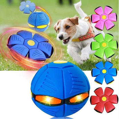 FrisbeePet™ | Pelota Platillo 2 en 1 para mascotas